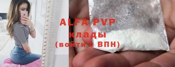 стаф Сатка