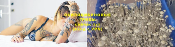 кокс Богданович