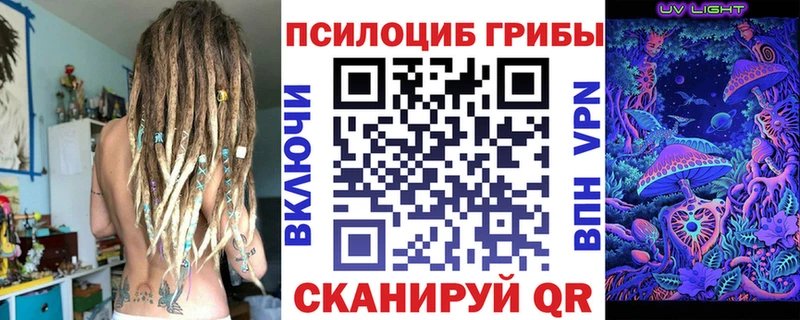 Псилоцибиновые грибы Psilocybine cubensis  Мураши 