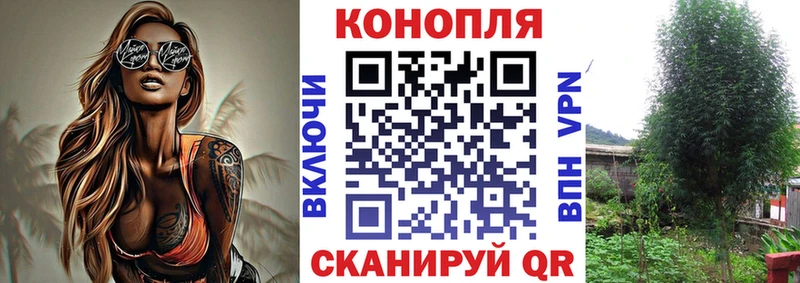 darknet как зайти  Мураши  Канабис ГИДРОПОН  kraken  